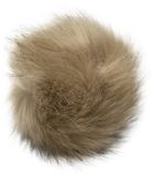 Pom Pom