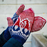 Gnome Mitten Set