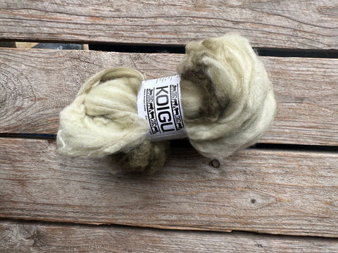 Koigu Merino Fiber 50g
